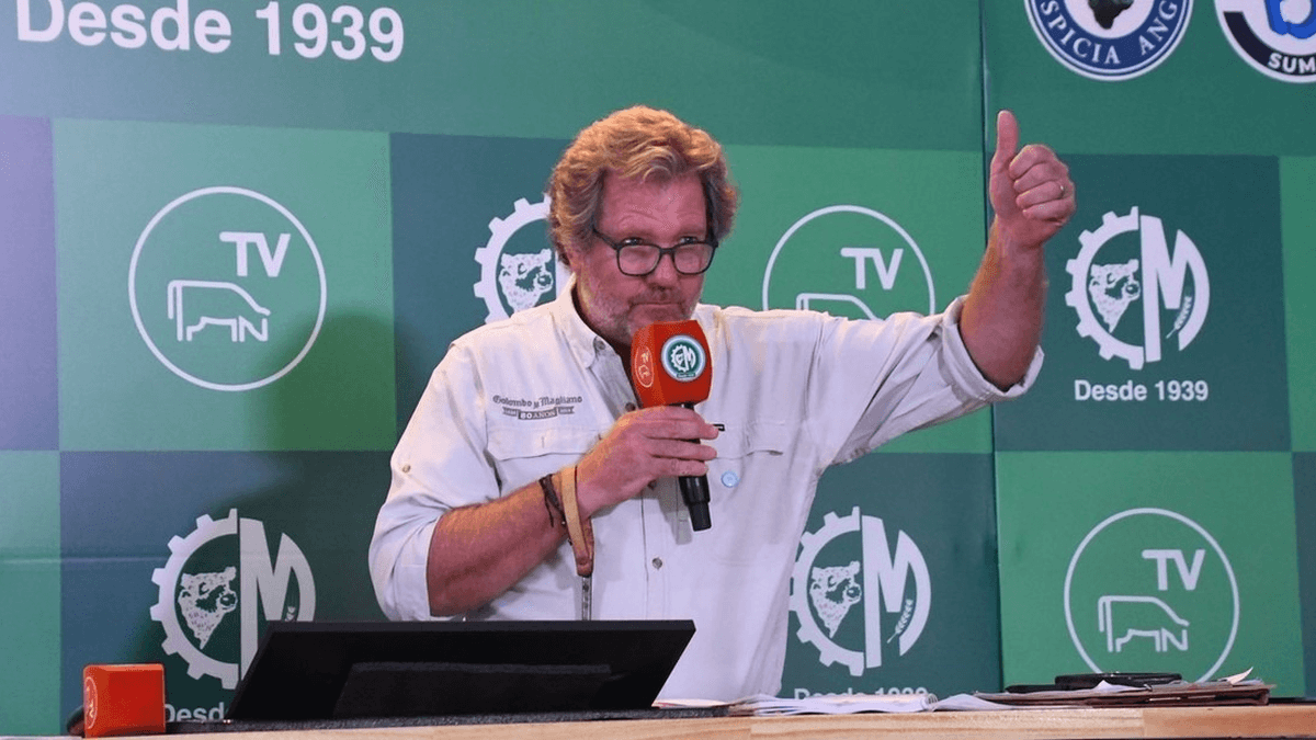 Expoagro 2026: en San Nicolás se realizó el remate de hacienda más grande del mundo