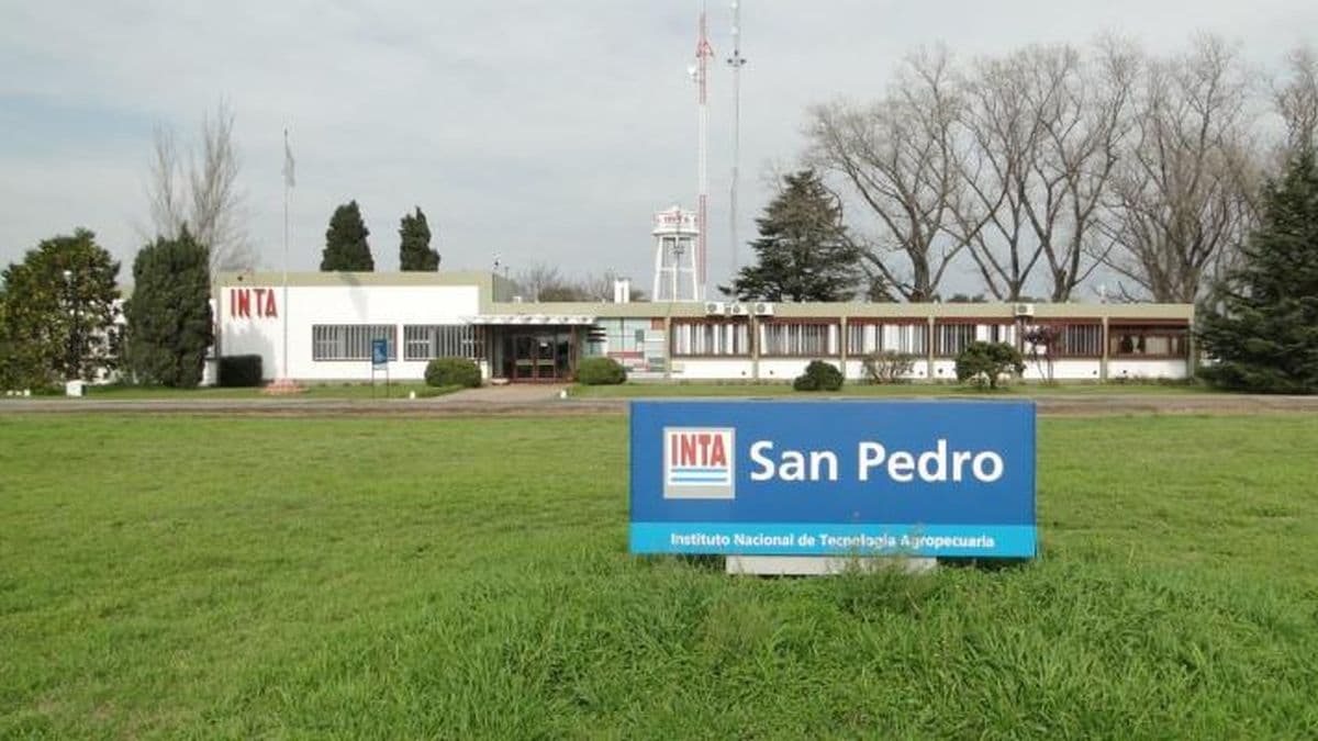 El INTA San Pedro pone en marcha el servicio de alarma para el control de heladas