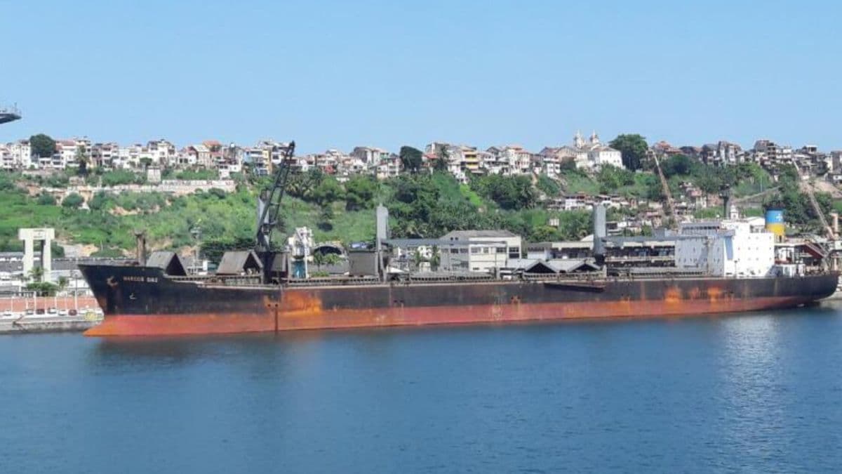 Puerto de San Pedro: buque brasileño carga 25.000 toneladas de trigo rumbo a Santos