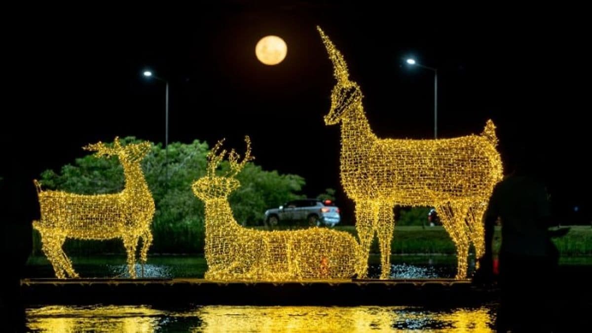 San Nicolás se ilumina y renueva su clásico recorrido navideño para miles de familias
