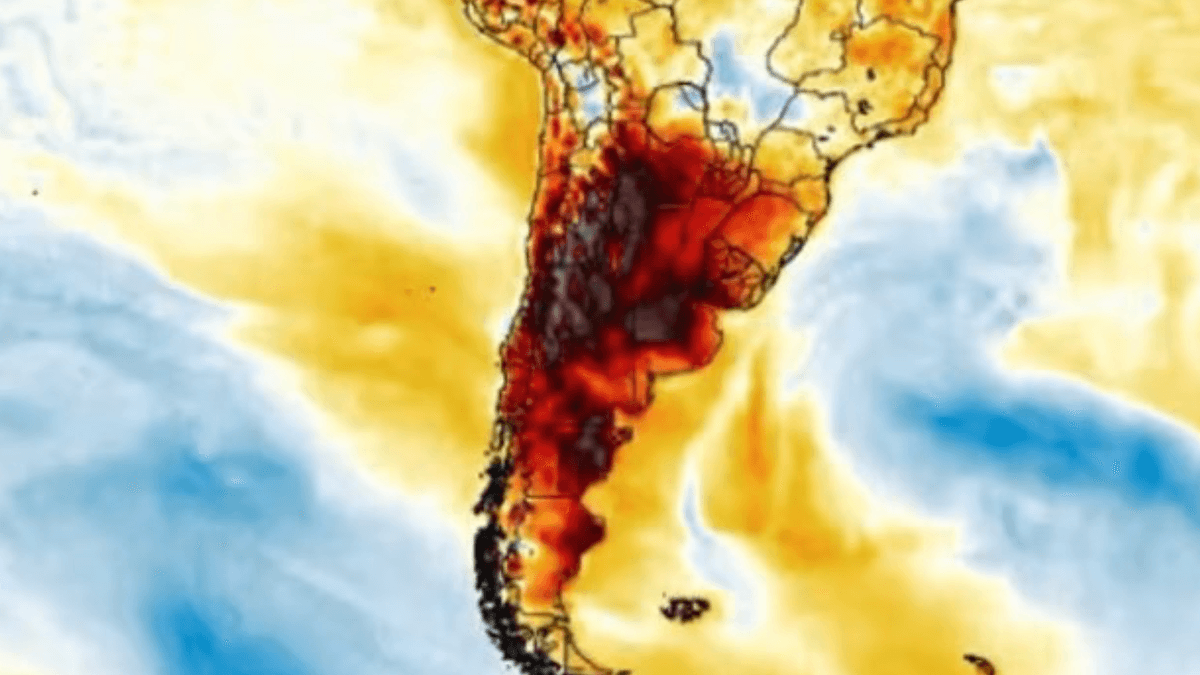 Ola de calor: el Colegio de Médicos bonaerense difundió recomendaciones para prevenir emergencias