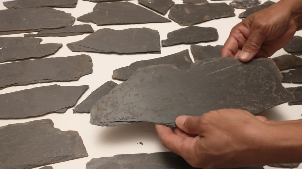 San Pedro: Descubren fragmentos del piso del antiguo convento franciscano en pleno Palacio Municipal