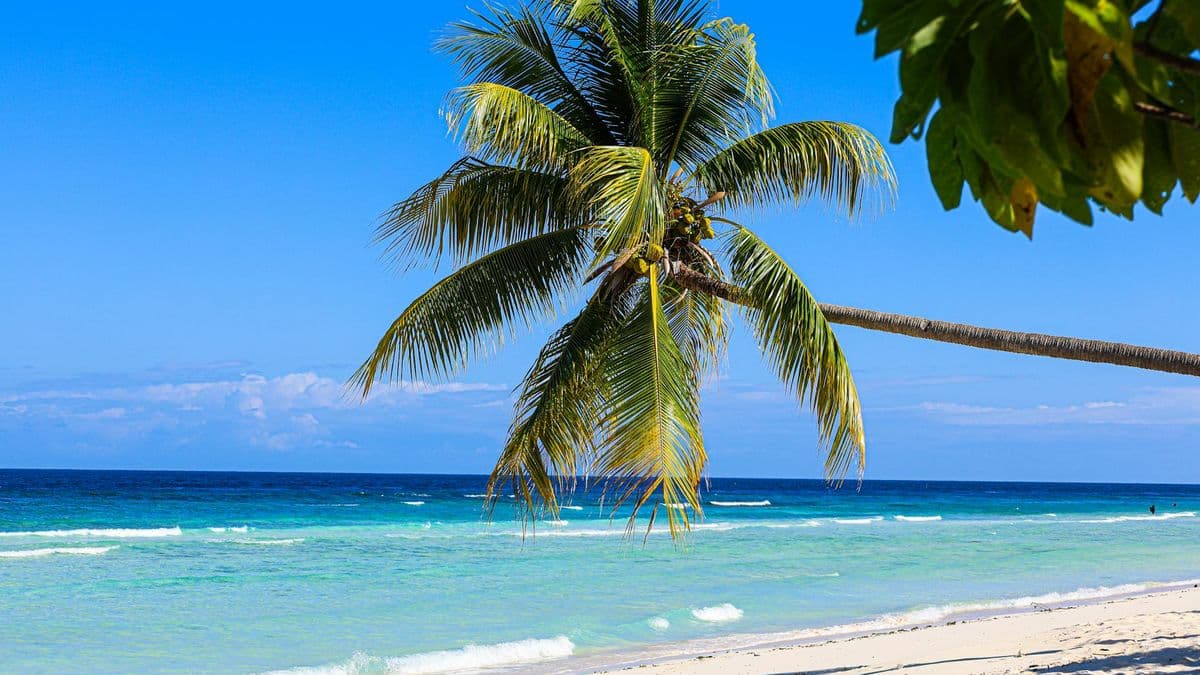 Cubata Viajes: diez años, miles de sueños cumplidos y una nueva etapa que te invita a viajar más y mejor