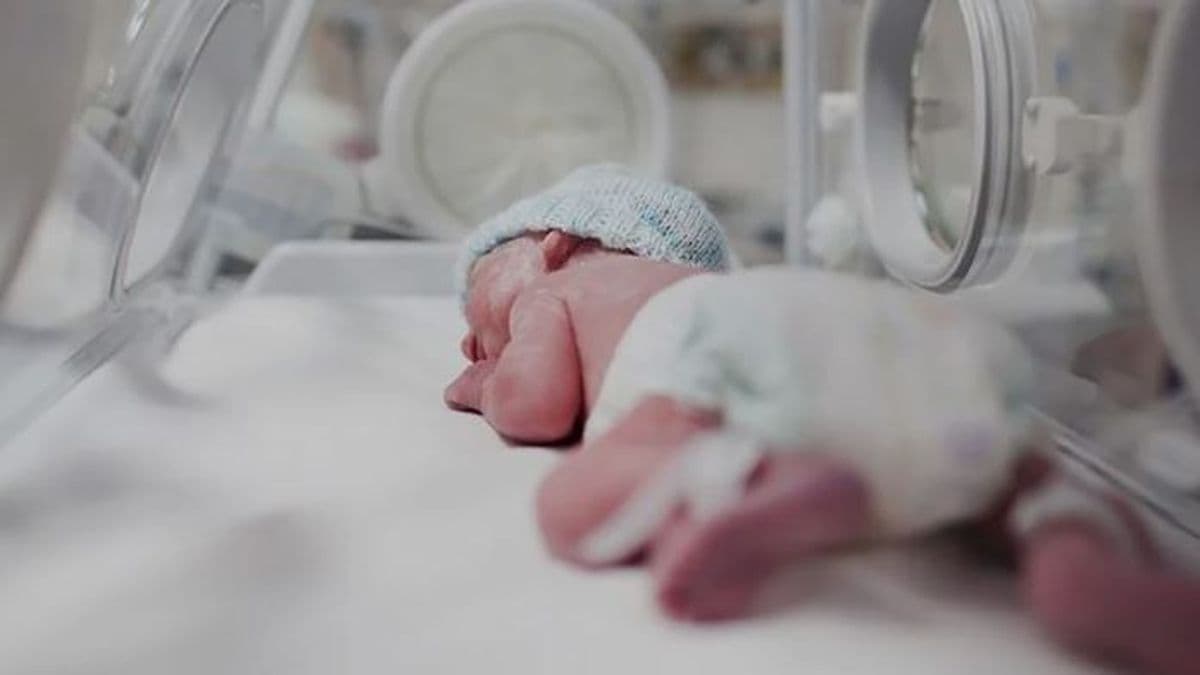 Semana del Prematuro: el seguimiento y el acompañamiento familiar, claves para un buen comienzo