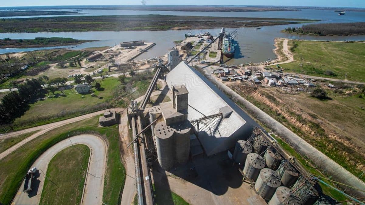 Puerto de San Pedro: Un buque liberiano exporta más de 31 mil toneladas de trigo