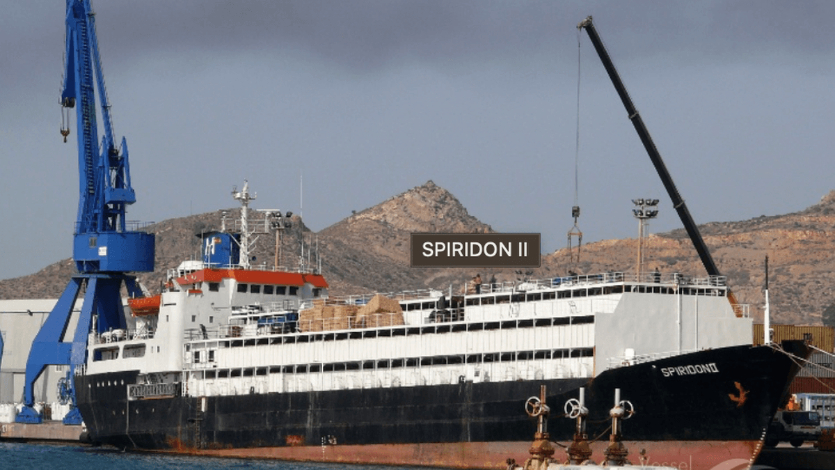 Organizaciones denuncian abandono: casi 3000 vacas llevan más de 50 días encerradas en un barco varado