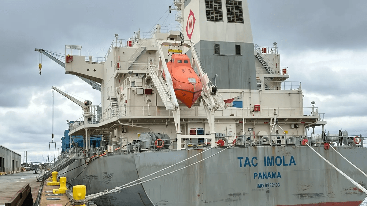 El puerto de San Pedro exportará 33.000 toneladas de trigo a Brasil con el arribo del buque TAC IMOLA