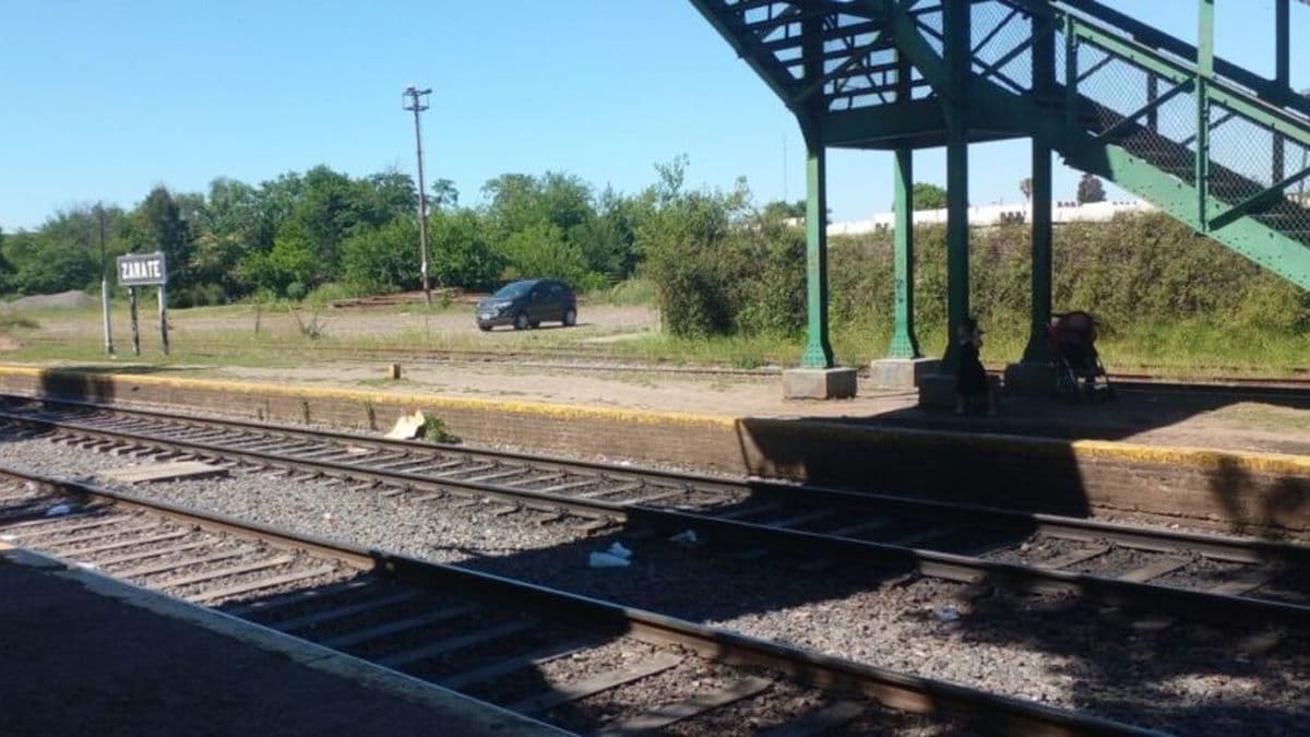 Alarma en la estación de tren de Zárate: un niño apareció solo y corrió entre las vías del Mitre
