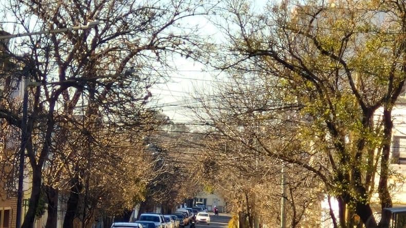 El frío genera incidentes: la presencia de agua escarchada provocó caídas de personas y siniestros viales