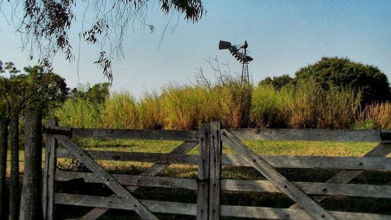 Encontraron un cuerpo calcinado junto a una estufa en un campo en Ortiz Basualdo