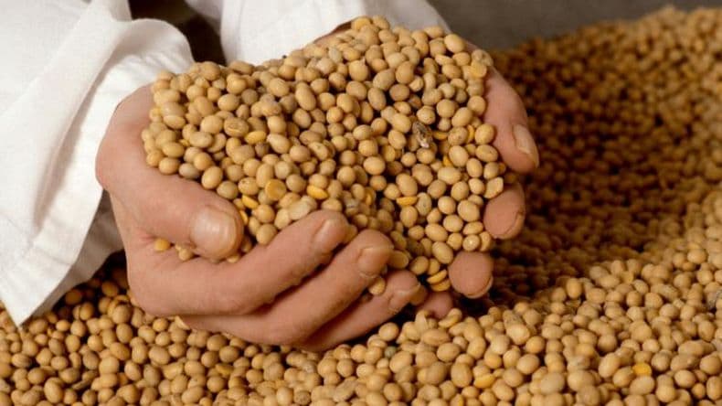 Condenan a seis personas por evasión en el comercio de granos en Pergamino