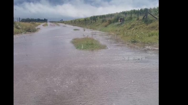 Anegamientos en la Ruta Nordm 8 a raiacutez de las precipitaciones