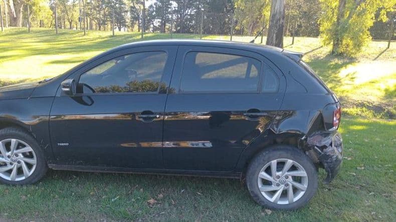 Un perro en la cinta asfáltica generó un accidente de tránsito