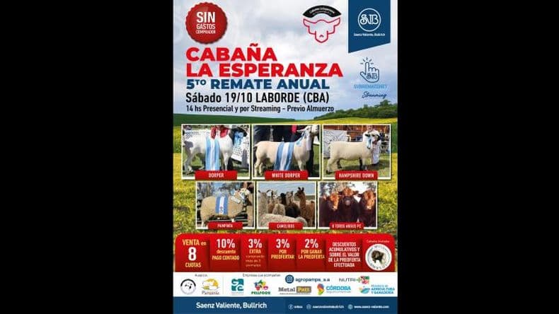 Pablo Sorasio loco de remate en su cabantildea y con fines solidarios