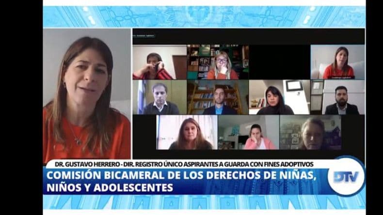 Diputados analizó los sistemas de adopción