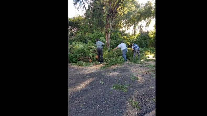 Maacutes fotos de la tormenta que registroacute vientos de hasta 80 kmh