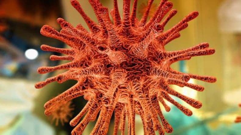 A dos años del inicio de la pandemia: ¿llegó el final?