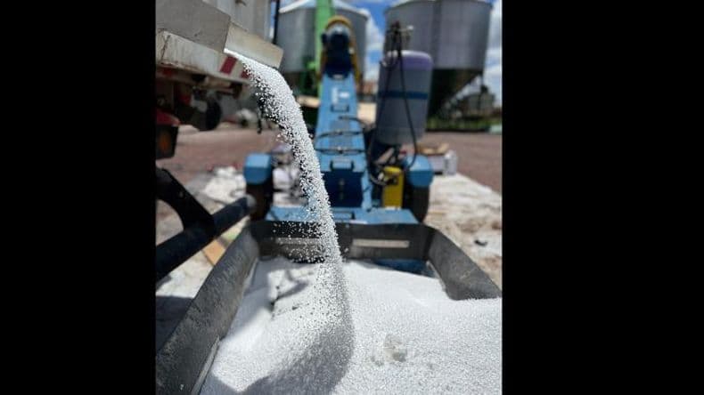 Fertilizacioacuten- Clave para la rentabilidad en la campantildea gruesa 202425