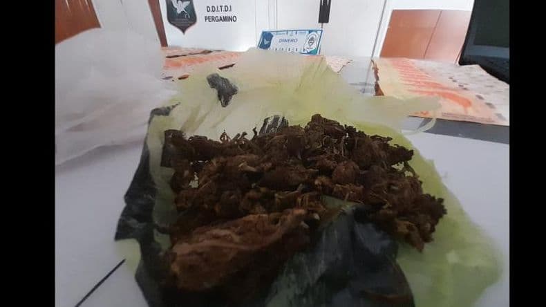 Coloacuten- cinco personas detenidas en un operativo por venta de drogas