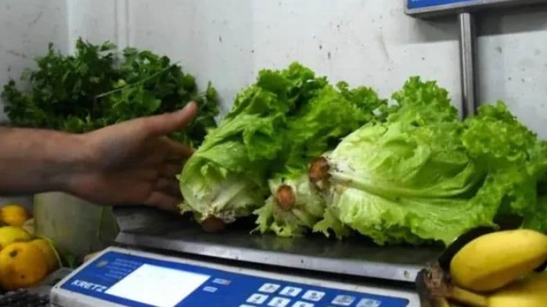 Inflación: los precios del kilo de lechuga llegan hasta los 15 mil pesos
