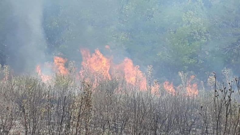 Los Bomberos tienen al menos 15 salidas diarias en lo que va de este antildeo