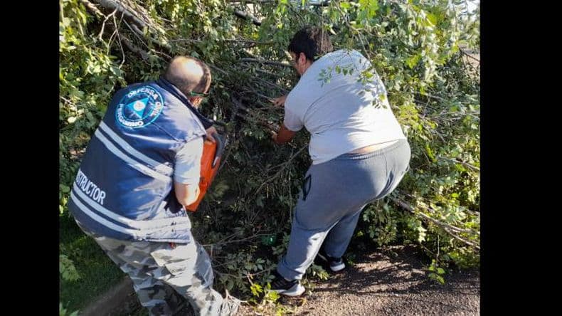 Maacutes fotos de la tormenta que registroacute vientos de hasta 80 kmh
