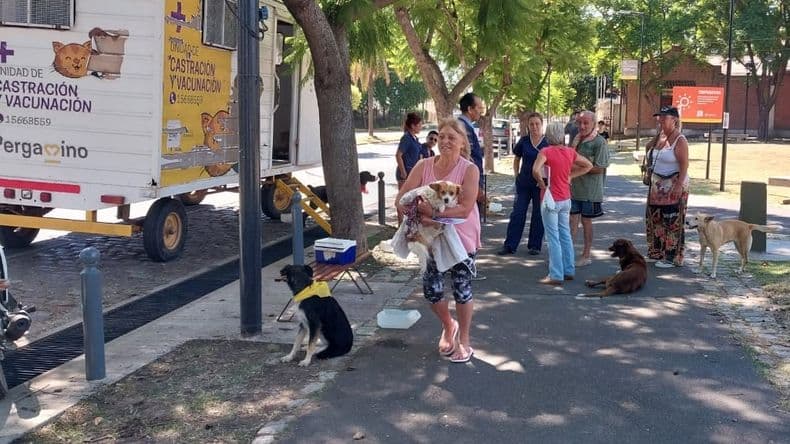 Pergamino tendrá su jornada de adopción y tenencia responsable de mascotas organizada por el área de Veterinaria