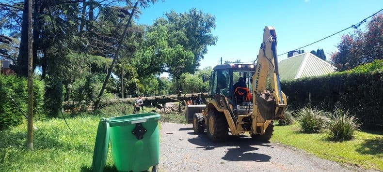 Pergamino: tormenta con ráfagas y más de 160 milímetros de lluvia con caída de árboles y corte de energía