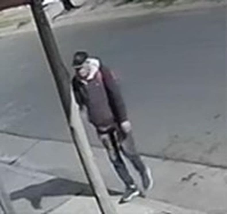 Robó, estuvo preso y salió libre para volver a cometer delitos
