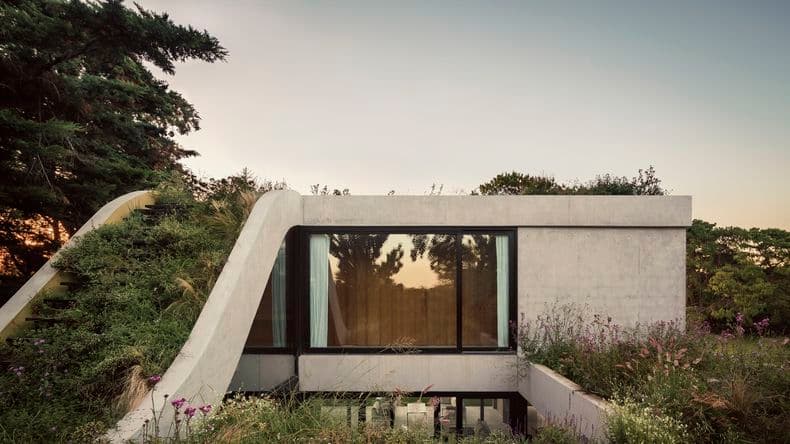 Casas en Argentina: cubiertas verdes que fusionan arquitectura y paisaje
