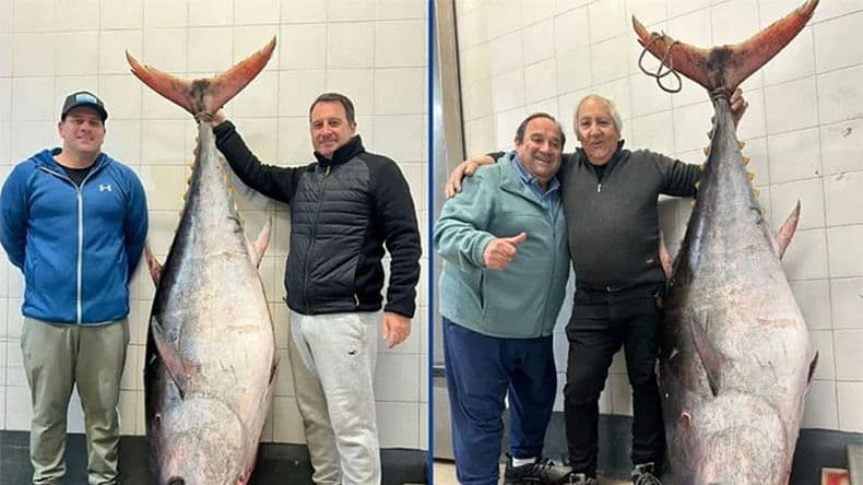 Capturaron un impresionante ejemplar de atún de 165 kilos cerca de Mar del Plata