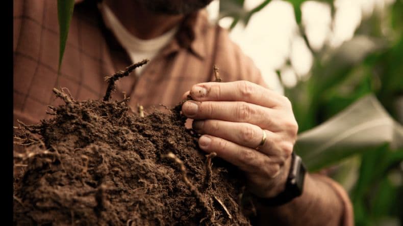 Bayer presenta su enfoque en sustentabilidad y huella de carbono