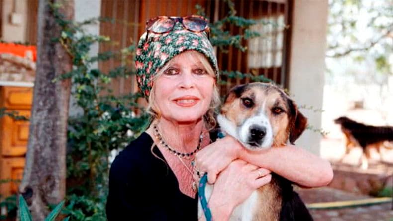 Brigitte Bardot visita su refugio canino "The Nice Dogs" de Carnoules el 7 de oc