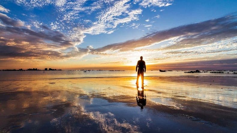 ¿Está todo escrito?: Reflexiones sobre canalización, chamanismo y libre albedrío
