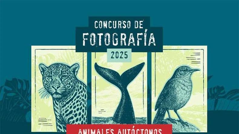 El Colegio de Escribanos de la Provincia de Buenos Aires invita a participar del