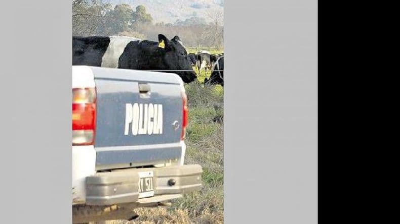 Detuvieron en Guerrico a seis miembros de una banda y secuestraron cosas robadas