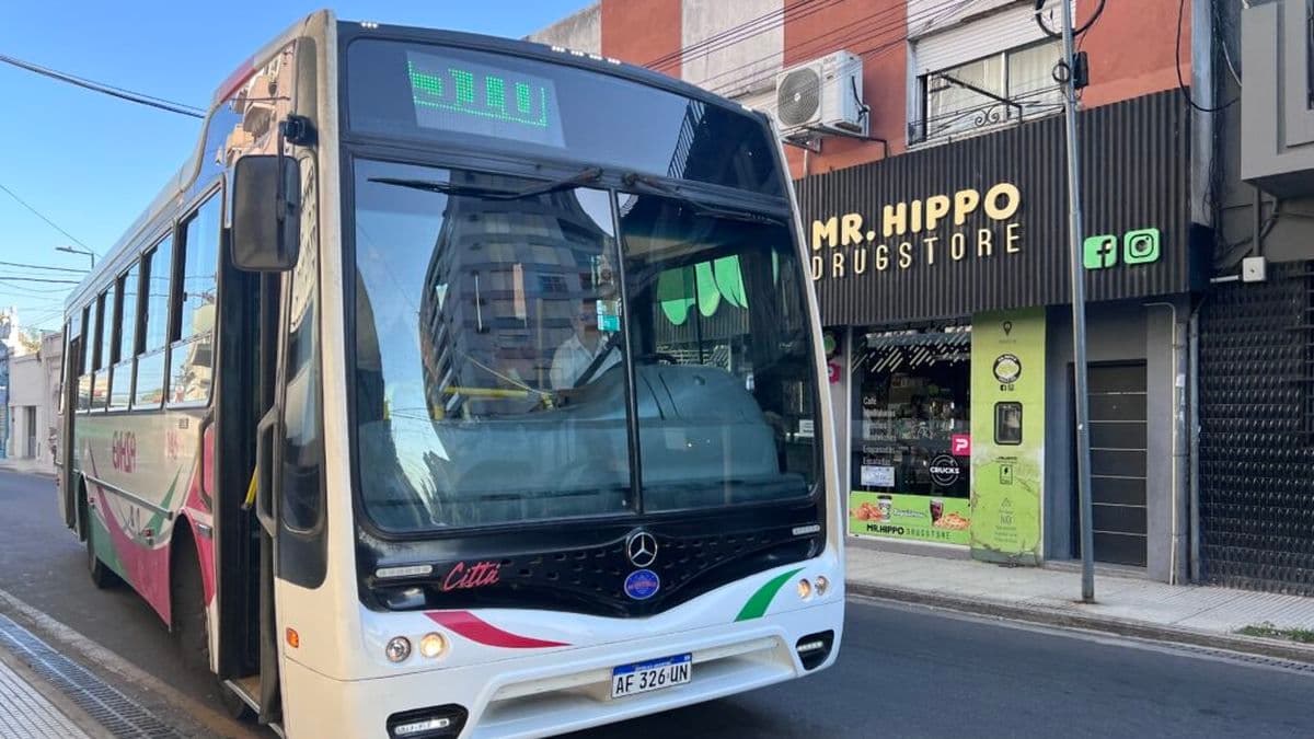 San Nicolás: Mientras Nación simplifica el pase por discapacidad, Vercelli suma nuevas exigencias