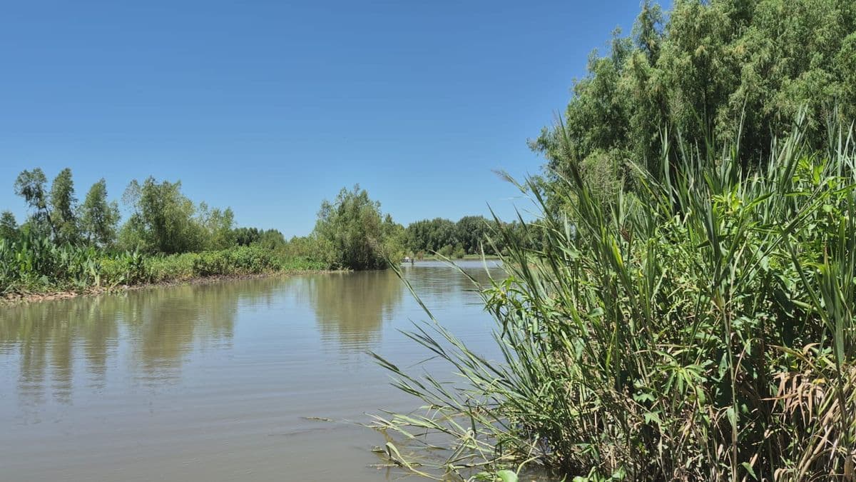 San Pedro: Buscan proteger las tierras ribereñas del riacho con una nueva ordenanza ambiental