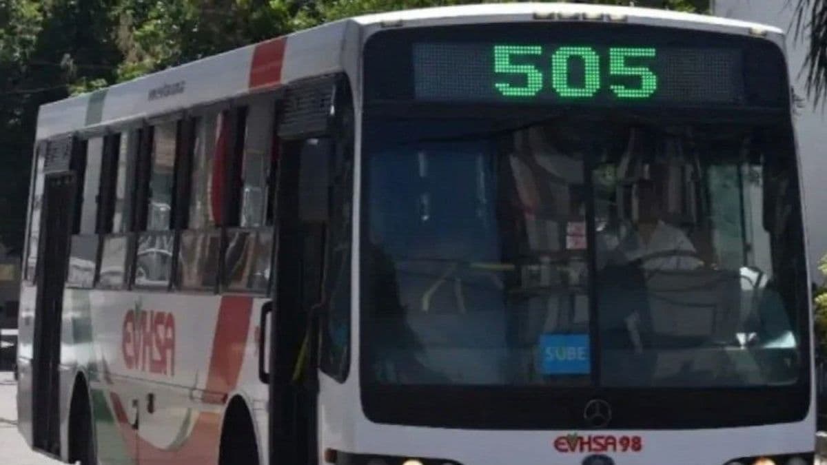 Concejo Deliberante de San Nicolás aprobó aumento del boleto: en julio costará $1.935