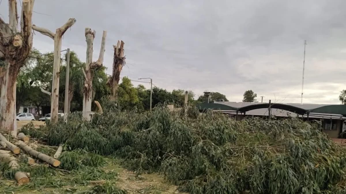 Conflicto en Ramallo por la capacitación obligatoria para los trabajadores de poda