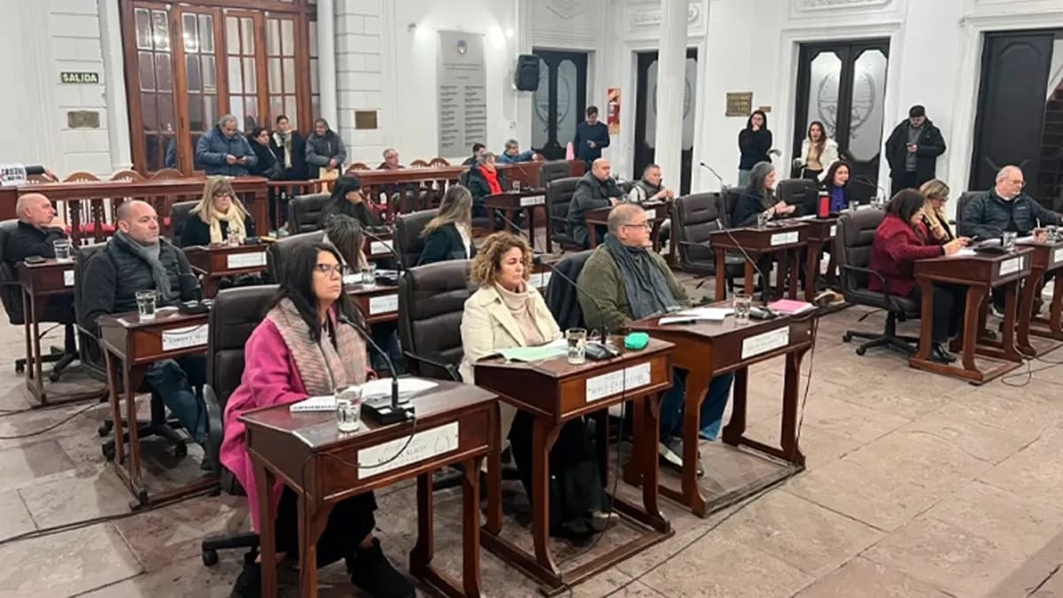 San Nicolás: Concejo Deliberante debate aumento del boleto pedido por Vercelli en sesión clave