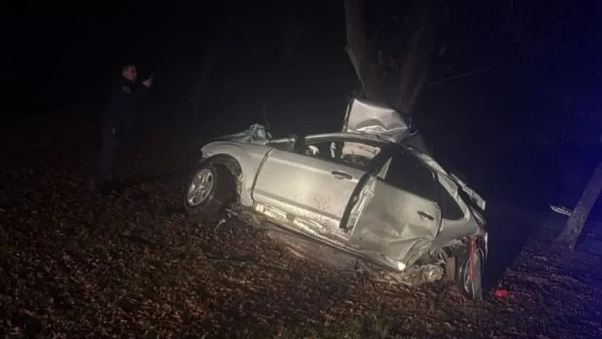 Ramallo: Tragedia en el Camino de la Costa, dos hombres murieron tras chocar su auto contra un árbol