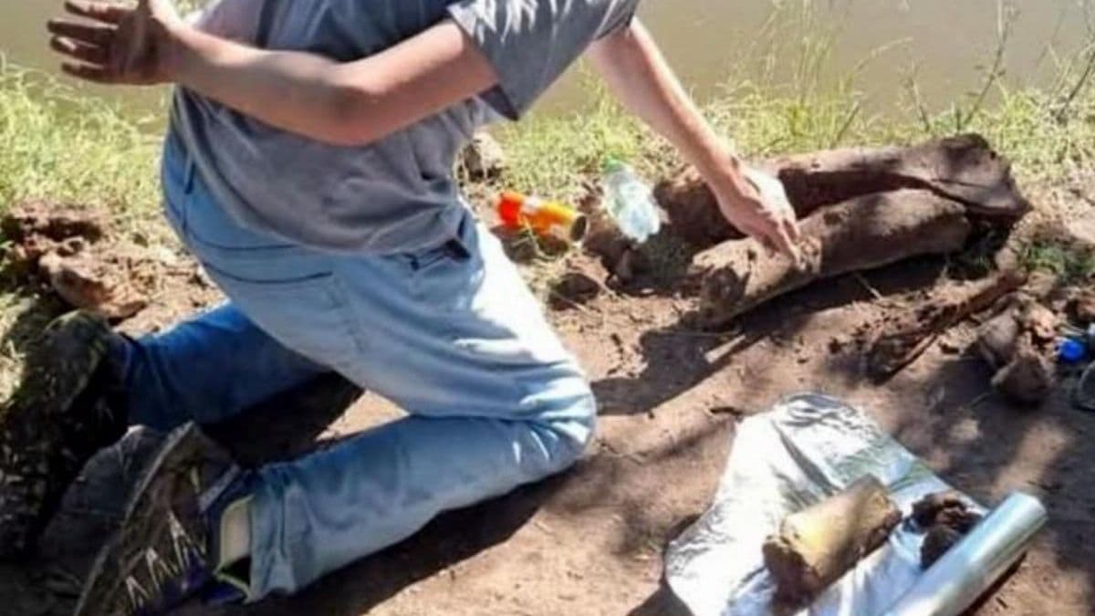 Del campo de Rojas a América Latina: el mastodonte que se volvió lección de ciencia