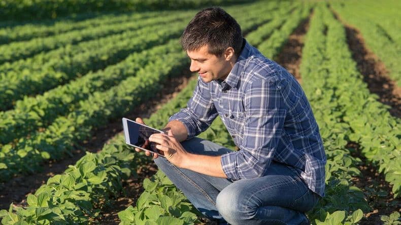 Día del Agricultor: historia, desafíos actuales y el arraigo de la tierra en Pergamino