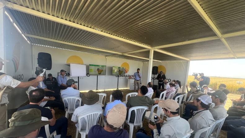 Los productores tuvieron acceso a actualizaciones en materia de manejos de culti