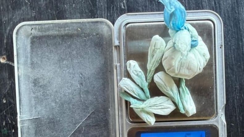 Las dosis de cocaína que secuestraron en el allanamiento en la casa del sospecho
