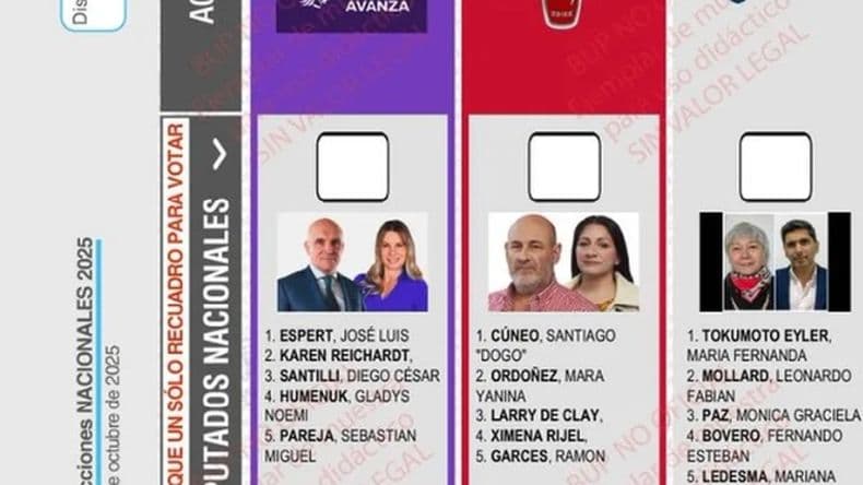 Falló la Cámara Nacional Electoral y la boleta de LLA llevará la cara del pergaminense Espert