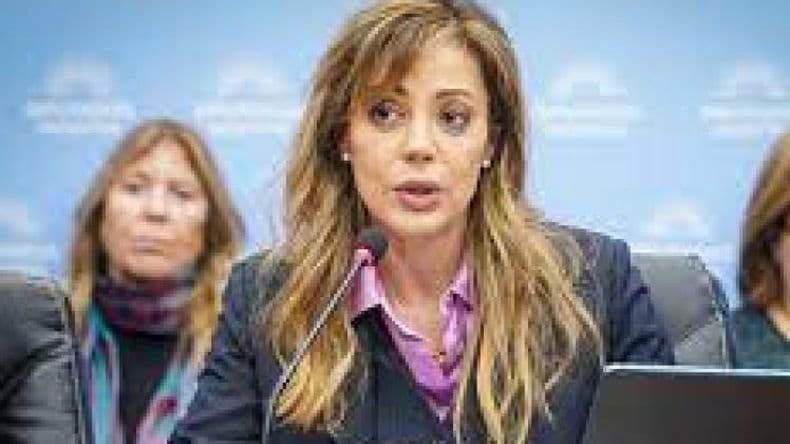 Para Royon el proyecto de gas natural "cambiaría la realidad productiva y económica"