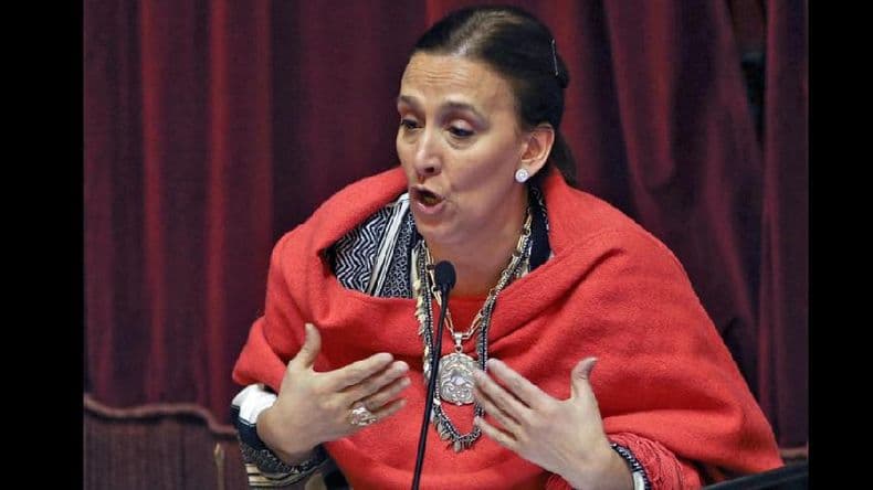 Michetti pide “evitar la elección de medio término por un tiempo”