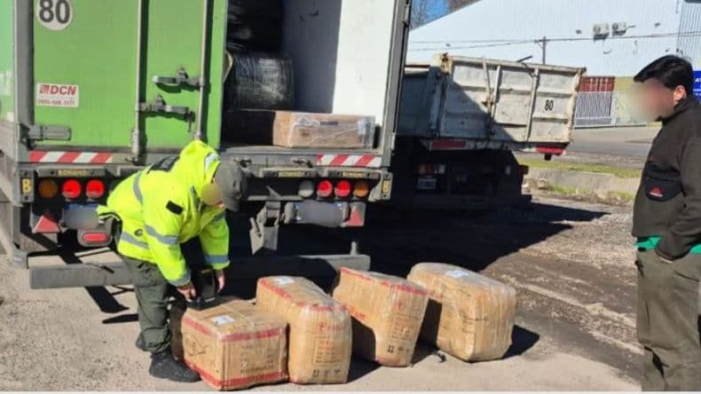 Gendarmería incautó 185 kilos de hoja de coca en operativos sobre la Ruta 9, en Lima